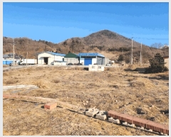  2025Ÿ��20461  �����