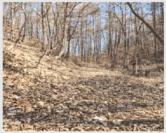  2025Ÿ20494  Ⱦ õ ϱø 142      (Ӿ)