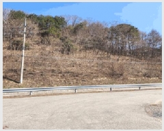  2025Ÿ20494  Ⱦ õ ϱø 142      (Ӿ)