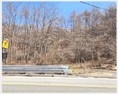  2025Ÿ20494  Ⱦ õ ϱø 142      (Ӿ)