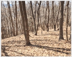  2025Ÿ20494  Ⱦ õ ϱø 142      (Ӿ)