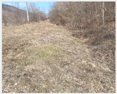  2025Ÿ��20501 ���� Ⱦ���� �г��� ��õ�� 16      ����(�Ӿ�)���