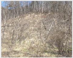  2025Ÿ��20501 ���� Ⱦ���� �г��� ��õ�� 16      ����(�Ӿ�)���