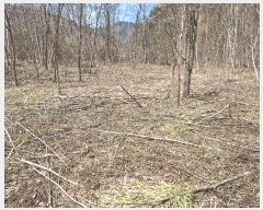  2025Ÿ��20501 ���� Ⱦ���� �г��� ��õ�� 16      ����(�Ӿ�)���