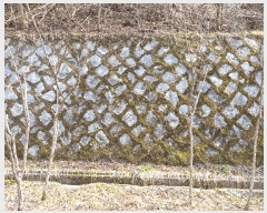  2025Ÿ��20501 ���� Ⱦ���� �г��� ��õ�� 16      ����(�Ӿ�)���