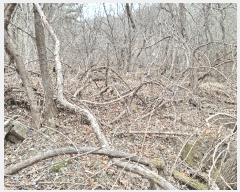  2025Ÿ��20515 ���� Ⱦ���� ������ ������ ��647      ����(�Ӿ�)���