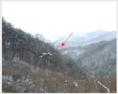  2025Ÿ��20515 ���� Ⱦ���� ������ ������ ��647      ����(�Ӿ�)���