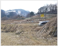  2025Ÿ��20519  �����