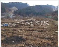  2025Ÿ��20519  �����