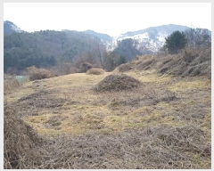  2025Ÿ��20519  �����