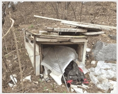  2025Ÿ��20522  ���ð��