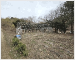  2025Ÿ��20522  ���ð��