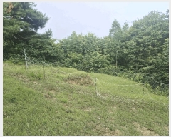  2025Ÿ��20539 ���� ���ֽ� ����� ��ȸ� ��321-2      ����(�Ӿ�)���