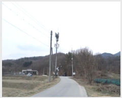  2025Ÿ��20539 ���� ���ֽ� ����� ��ȸ� ��321-2      ����(�Ӿ�)���