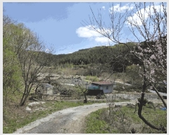  2025Ÿ��20550 ���� ���ֽ� �Ÿ��� ������ 54      ����(��1)���