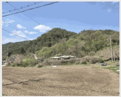  2025Ÿ��20550 ���� ���ֽ� �Ÿ��� ������ 54      ����(��1)���