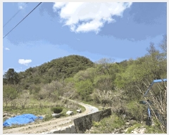  2025Ÿ��20550 ���� ���ֽ� �Ÿ��� ������ 54      ����(��1)���