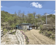  2025Ÿ��20550 ���� ���ֽ� �Ÿ��� ������ 54      ����(��1)���