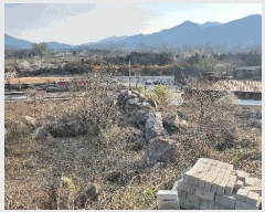  2025Ÿ��20553  �������