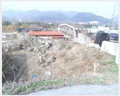  2025Ÿ��20553  �������