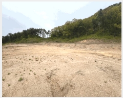  2025Ÿ��20557  �����