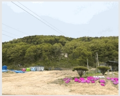  2025Ÿ��20557  �����