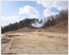  2025Ÿ��20557  �����