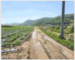  2025Ÿ��20613  �����