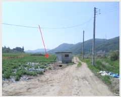  2025Ÿ��20613  �����