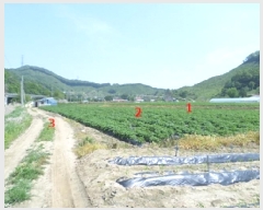  2025Ÿ��20613  �����