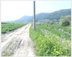  2025Ÿ��20613  �����