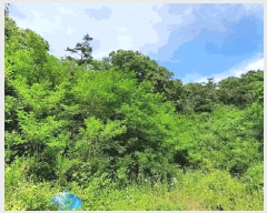  2025Ÿ��20620  �Ӿ߰��