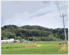  2025Ÿ��20620  �Ӿ߰��