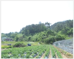  2025Ÿ��20620  �Ӿ߰��