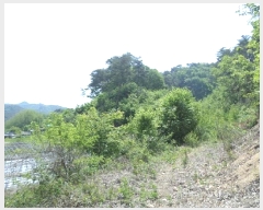  2025Ÿ��20620  �Ӿ߰��