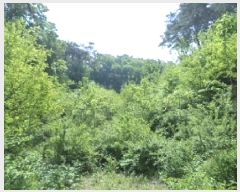  2025Ÿ��20620  �Ӿ߰��