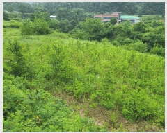  2025Ÿ��20693  �����