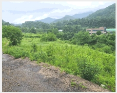  2025Ÿ��20693  �����