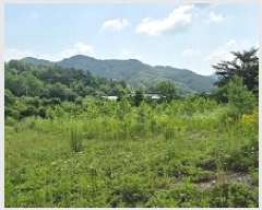  2025Ÿ��20693  �����