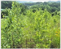  2025Ÿ��20693  �����