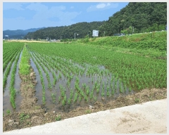  2025Ÿ��20697  ����