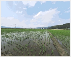  2025Ÿ��20697  ����