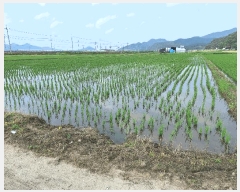  2025Ÿ��20697  ����