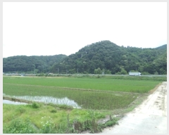  2025Ÿ��20697  ����