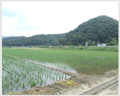  2025Ÿ��20697  ����