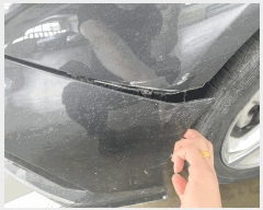  2025Ÿ��20781  �������