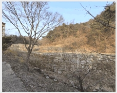  2025Ÿ��350 ���� ���ֽ� �౸�� 360       ����(����)���