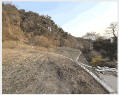  2025Ÿ��350 ���� ���ֽ� �౸�� 360       ����(����)���