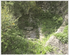  2025Ÿ��350 ���� ���ֽ� �౸�� 360       ����(����)���