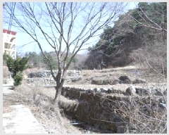  2025Ÿ��350 ���� ���ֽ� �౸�� 360       ����(����)���